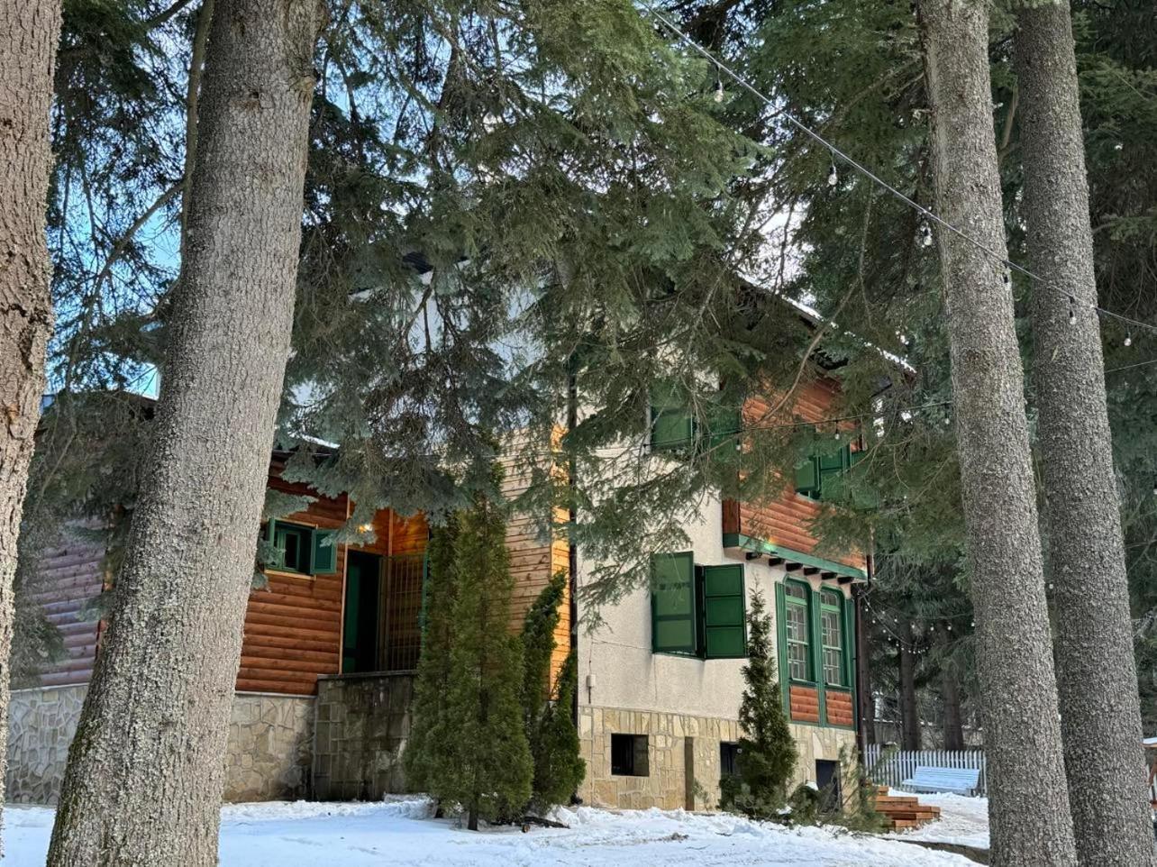 Villa Adis With Hot Pool & Jacuzzi By Bookvillabg Borovets Exterior foto
