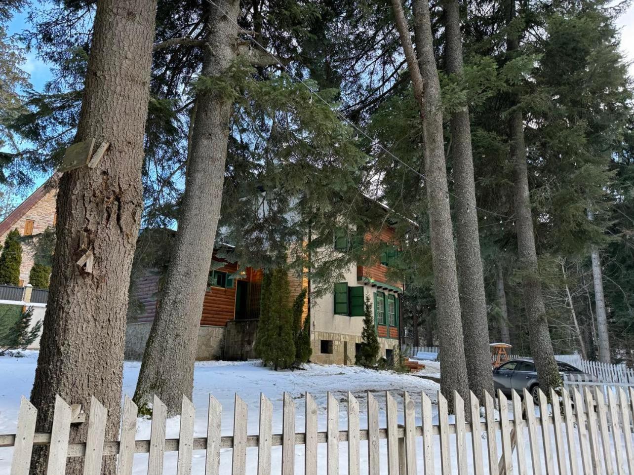 Villa Adis With Hot Pool & Jacuzzi By Bookvillabg Borovets Exterior foto